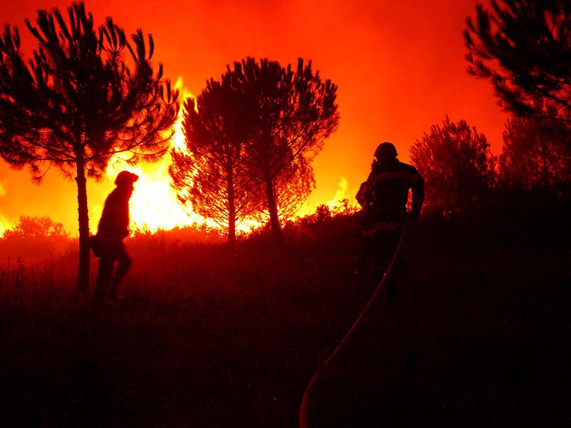 Increasing aridity causes larger and more severe forest fires across Europe 