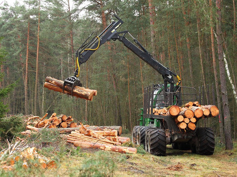 Simulating future wood consumption and the impacts on Europe's forest sink to 2070