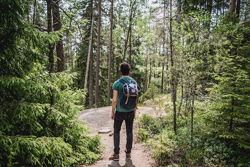 Ecosystem services at risk from disturbance in Europe's forests
