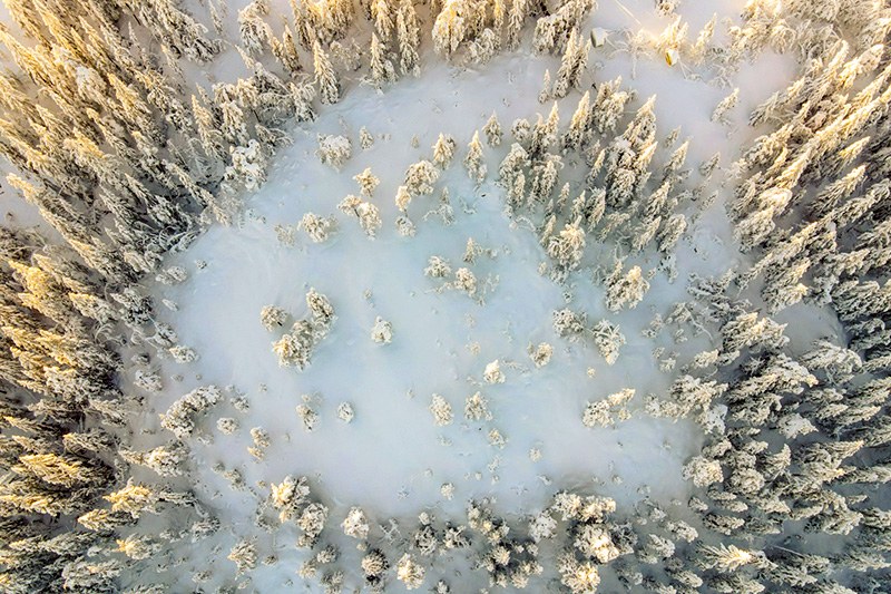 Site index determination using a time series of airborne laser scanning data