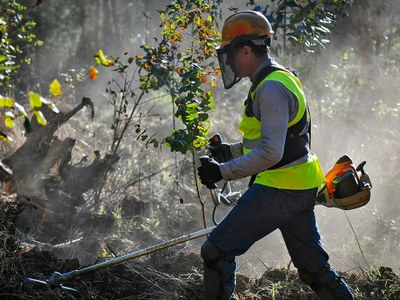 Mapping forest management regimes in Europe