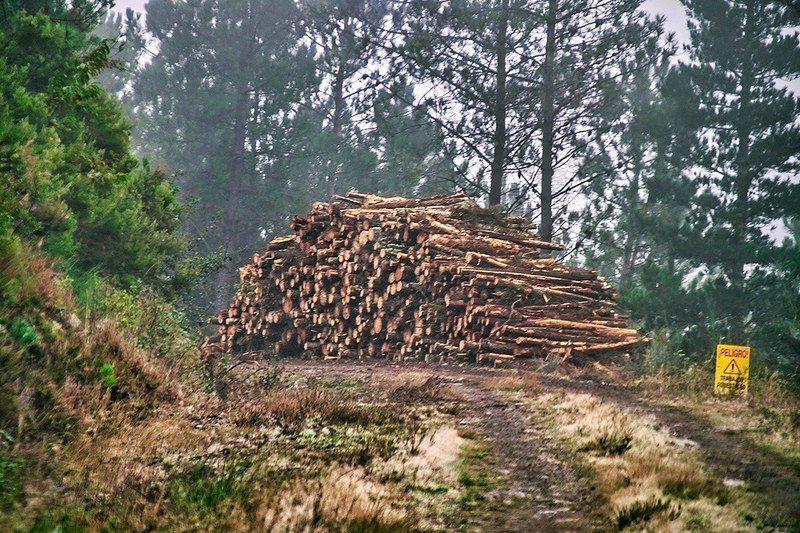 Displacement factors for aerosol emissions from alternative forest biomass use