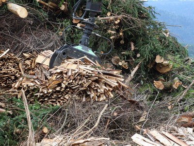 An integrated conflict analysis approach for the sustainable supply of Forest Ecosystem Services in Germany - the case of forest-based biofuel production